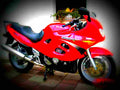 Suzuki GSX R 750 (reduced effect) 1986 5 motorbike A4 Photo Print