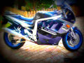 Suzuki GSX R 750 (reduced effect) 1989 6 motorbike A4 Photo Print