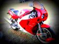 Suzuki GSX R 750 (reduced effect) 1990 6 motorbike A4 Photo Print