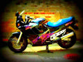 Suzuki GSX R 750 (reduced effect) 1991 3 motorbike A4 Photo Print