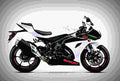 Suzuki GSX R1000X 2019 3 motorbike A4 Photo Print