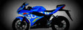 Suzuki GSX R125 ABS 2017 1 770x284 motorbike A4 Photo Print