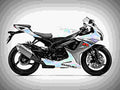 Suzuki GSX R600 2017 2 motorbike A4 Photo Print