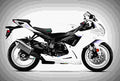 Suzuki GSX R600 2019 2 motorbike A4 Photo Print