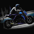 Suzuki GSX S1000Z Phantom 2017 3 motorbike A4 Photo Print