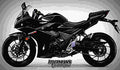 Suzuki GSX250R 2017 3 motorbike A4 Photo Print