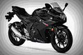Suzuki GSX250R 2018 4 motorbike A4 Photo Print