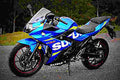 Suzuki GSX250R 2019 4 motorbike A4 Photo Print