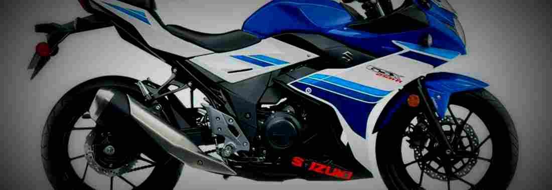 Suzuki GSX250R ABS 2019 1 825x284 motorbike A4 Photo Print