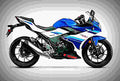 Suzuki GSX250R ABS 2019 1 motorbike A4 Photo Print