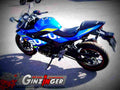 Suzuki GSX250R ABS 2019 4 motorbike A4 Photo Print