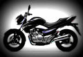 Suzuki GW250 2017 2 motorbike A4 Photo Print