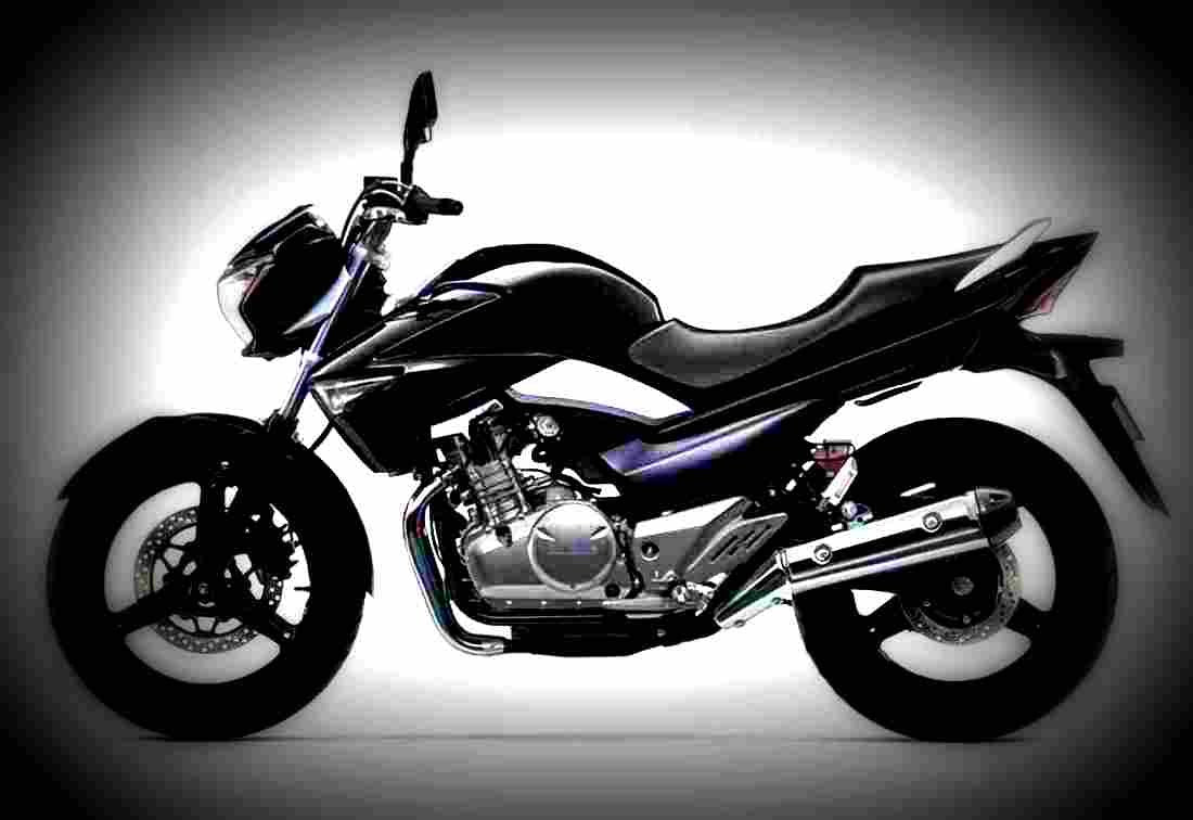 Suzuki GW250 2017 2 motorbike A4 Photo Print