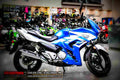 Suzuki GW250F 2017 1 motorbike A4 Photo Print