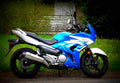 Suzuki GW250F 2017 2 motorbike A4 Photo Print