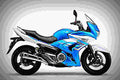 Suzuki GW250F 2018 1 motorbike A4 Photo Print