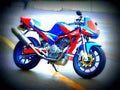 Suzuki Goose 350 Goose 350 2 motorbike A4 Photo Print