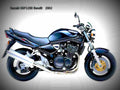 Suzuki Grasstracker 2002 6 motorbike A4 Photo Print