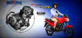 Suzuki Hayate EP 2017 4 motorbike A4 Photo Print