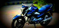 Suzuki Inazuma 250 2017 1 586x284 motorbike A4 Photo Print