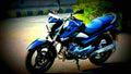 Suzuki Inazuma 250 2017 1 motorbike A4 Photo Print