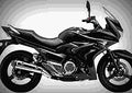 Suzuki Inazuma 250F 2017 3 motorbike A4 Photo Print