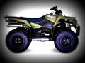 Suzuki KingQuad 400FSi 2017 2 motorbike A4 Photo Print