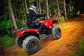 Suzuki KingQuad 400FSi 2017 3 motorbike A4 Photo Print