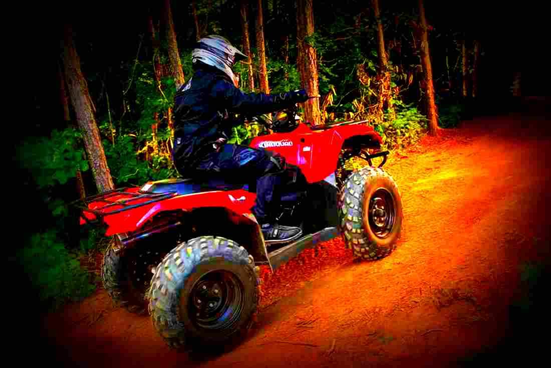 Suzuki KingQuad 400FSi 2018 2 motorbike A4 Photo Print