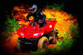 Suzuki KingQuad 400FSi 2018 3 motorbike A4 Photo Print