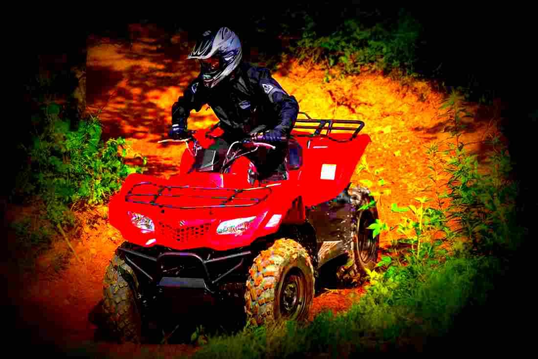 Suzuki KingQuad 400FSi 2018 3 motorbike A4 Photo Print