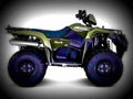 Suzuki KingQuad 500AXi 2017 1 motorbike A4 Photo Print