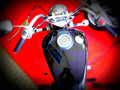Suzuki LS 650 Savage 1986 6 motorbike A4 Photo Print