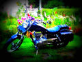 Suzuki LS 650 Savage 1989 3 motorbike A4 Photo Print