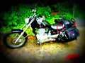 Suzuki LS 650 Savage 1992 3 motorbike A4 Photo Print