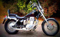 Suzuki LS 650 Savage 1995 2 motorbike A4 Photo Print