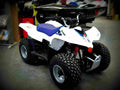 Suzuki LT Z50 50cc 3 motorbike A4 Photo Print