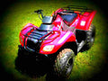Suzuki Ozark 250 2007 1 motorbike A4 Photo Print