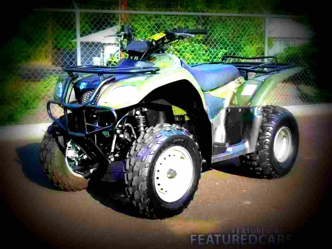 Suzuki Ozark 250 2007 2 motorbike A4 Photo Print