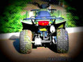 Suzuki Ozark 250 2007 4 motorbike A4 Photo Print