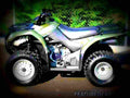 Suzuki Ozark 250 2007 5 motorbike A4 Photo Print