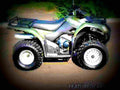 Suzuki Ozark 250 2007 6 motorbike A4 Photo Print