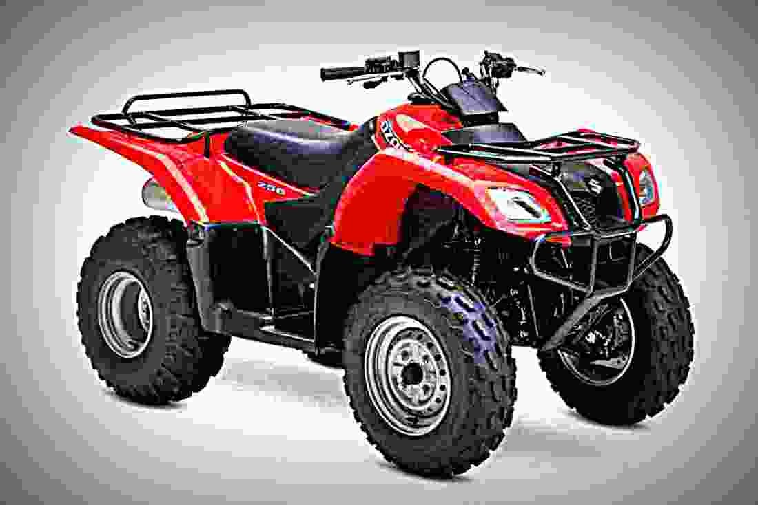 Suzuki Ozark 250 2008 5 motorbike A4 Photo Print