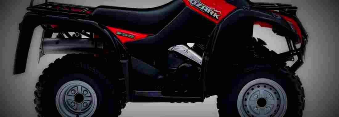 Suzuki Ozark 250 2017 1 825x284 motorbike A4 Photo Print