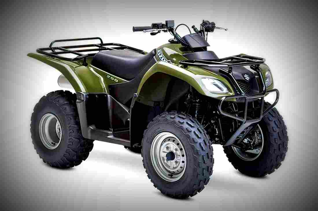 Suzuki Ozark 250 2017 2 motorbike A4 Photo Print