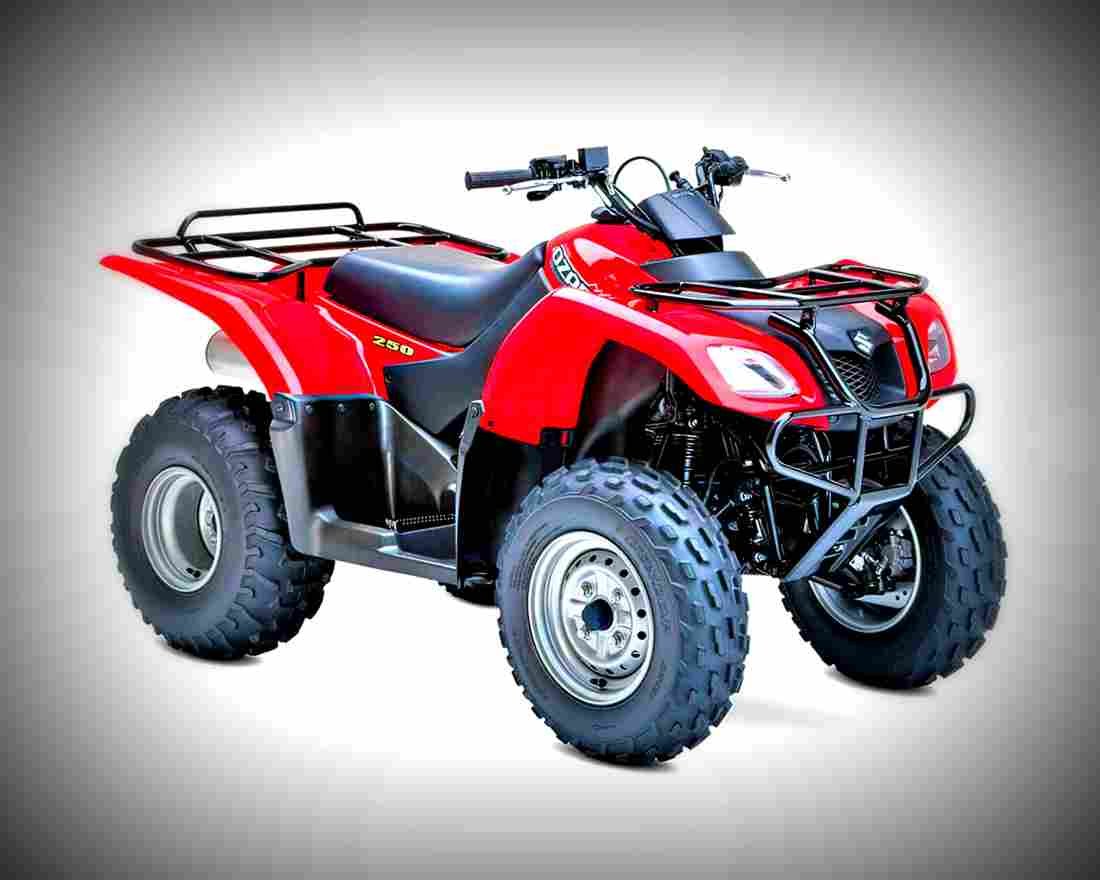 Suzuki Ozark 250 2017 4 motorbike A4 Photo Print
