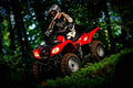 Suzuki Ozark 250 2018 4 motorbike A4 Photo Print