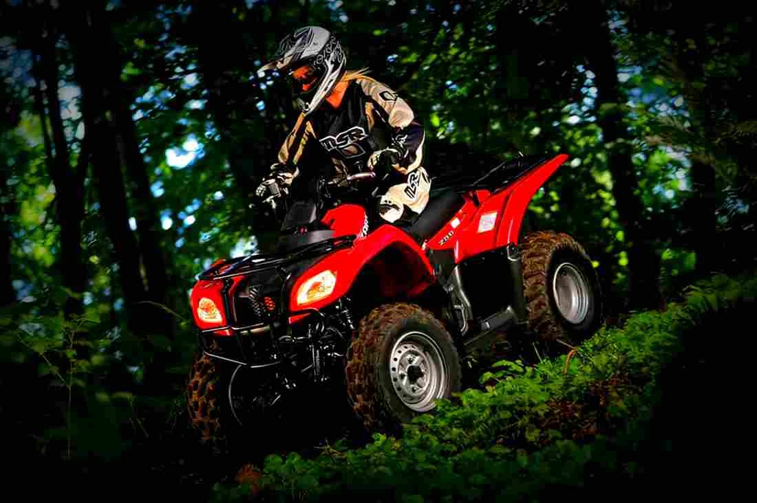 Suzuki Ozark 250 2018 4 motorbike A4 Photo Print