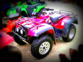 Suzuki QUADRUNNER F 500 2000 5 motorbike A4 Photo Print