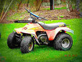 Suzuki Quadsport Z250 LTZ 5 motorbike A4 Photo Print
